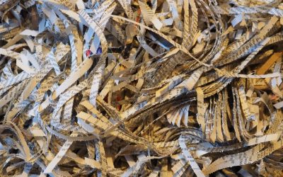 Data Protection for Car Dealers– Industry News