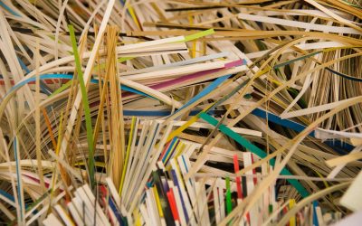 The Shredding of Documents – Why You Should Care