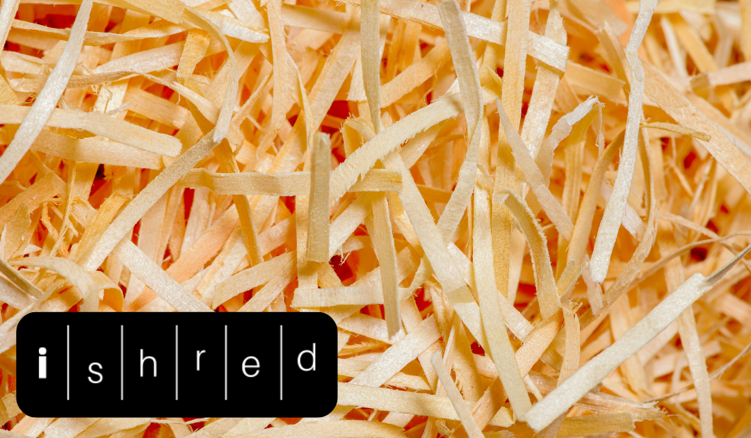 How Paper Shredding Protects Your Business: A Comprehensive Guide to Information Security