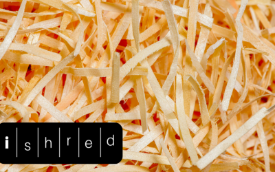 How Paper Shredding Protects Your Business: A Comprehensive Guide to Information Security